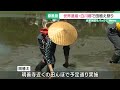 合掌家屋をバックに早乙女姿で田植え祭り　岐阜県の世界遺産・白川郷 24 05 29 16 47