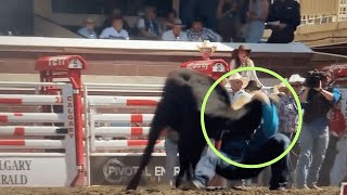 Young Cow Has Neck Snapped at Calgary Stampede 2024