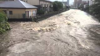 台風18号で氾濫寸前の境川（藤沢橋より②）