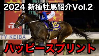 2024新種牡馬紹介 Vol.2 ハッピースプリント