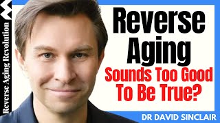 REVERSE AGING – Sounds Too Good To Be True? | Dr David Sinclair Interview Clips