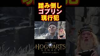 【ホグワーツレガシー】魔法使いを騙す邪悪なゴブリンの一部始終をカメラがとらえた #hogwartslegacy  #ホグワーツレガシー #声真似 #shorts #おこさまランチ大佐