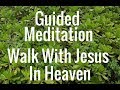 Guided Meditation: Walk with Jesus in Heaven.