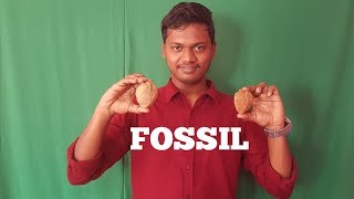 Fossil| Tamil | Kandii geo facts