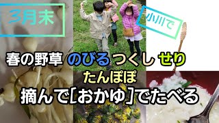 3月下旬、小川で野草摘みして料理♪[おかゆ]に入れて食べたよ。入れたのは→[のびる、せり、つくし、たんぽぽ]