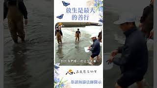 【海濤法師開示】放生是最大的善行 #shorts