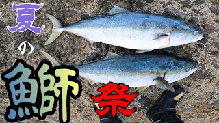 【北海道ショアブリ】シンキングペンシルでブリを狙う！