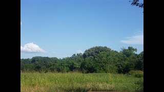 Homes for Sale - Tbd Farm Road 71 E, Dike, TX