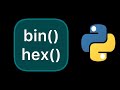Simple example of the bin() and hex() functions in Python #Shorts