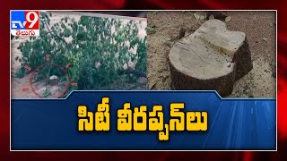 గ్రేటర్ లో గంధపు దొంగలు - TV9