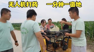 玉米田无人机打药，一亩地10块钱10亩地十分钟打完，效率真高【牛不啦】