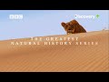 Iconic BBC shows, now streaming on Discovery Plus App