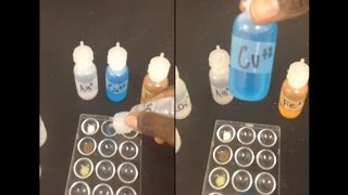 Ionic Compounds Lab and Worksheet
