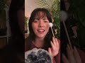 ASMR Follow the Q-Tip to Sleep