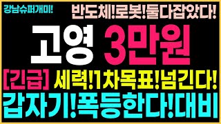 [고영 주가 전망]기관세력!3만원돌파시킨다!물량확보중!변동성클때,매수기회온다!