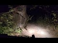 remembering chhota bheem of bandhavgarh । टाइगर की मौत शिकारी के फंदे से night drive on tiger road