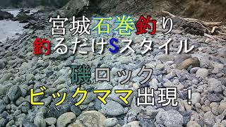 宮城釣り石巻釣り　磯ロック　ビックママ出現！　＃雄勝地磯