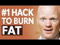 How To BURN BODY FAT, Prevent Disease & REVERSE Insulin Resistance | Ben Bikman & Mark Hyman