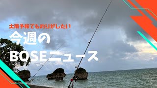 【悪天候】大雨でも魚は釣れるのか検証してみた！！沖縄県南部海岸