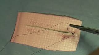 Simple Continuous Suture Pattern