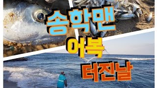 SBS생활의달인!투망의달인! 송학맨 어복 터진날 castnet