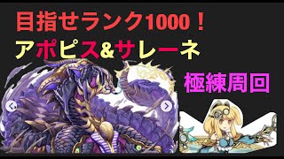 【パズドラ】目指せランク１０００！アポピス＆サレーネ＆ベリアルで極連周回。