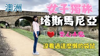 [澳洲]女子獨旅 塔斯馬尼亞 EP1 飛澳洲要注意什麼?