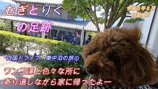 四国ドライブ、車中泊の旅⑥　ワンコ達と寄り道しながら家に帰るよー【むぎとりくの足跡＃１０８】【ハイエースキャンピングカー】【道の駅】【レトロ自販機】