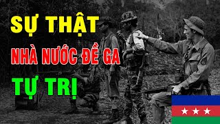 Sự thật về nhà nước Đề Ga tự trị, tổ chức nào đứng sau lãnh đạo, điều khiển? | Duy Ly Radio