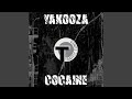 Cocaine 2009 (RFN Electro Mix Extended)