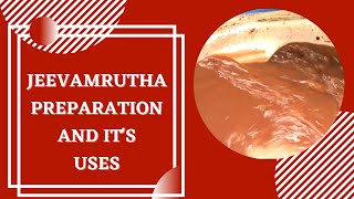 ಜೀವಾಮೃತ ತಯಾರಿಕೆ ಹೇಗೆ ಮತ್ತು ಅದರ ಬಳಕೆ ಹೇಗೆ ? The importance of Jeevamrutha and the steps to prepare