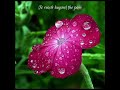 Flower In The Rain (Tracia Deyce)