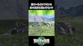 【ティアキン】寝ているボコブリンに針の天井を落とすリンク【ゼルダの伝説 ティアーズ オブ ザ キングダム】