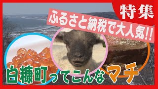 サーモンやラム肉が人気　ふるさと納税で全国４位　小さなマチに新たな魅力