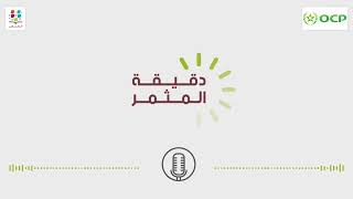 دقيقة المثمر: تقنيات والطرق السليمة للتسميد الورقي