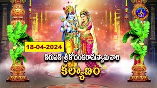 Sri Kodandarama Swamy Vari Kalyanotsavam || Tirupati || 18-04-2024 || SVBC TTD