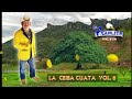 la ceiba cuata el aguilita del sur vol. 6