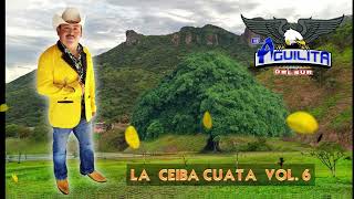 LA CEIBA CUATA-EL AGUILITA DEL SUR VOL. 6