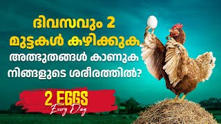 ദിവസവും 2 മുട്ടകൾ കഴിക്കുക അത്ഭുതങ്ങൾ കാണുക നിങ്ങളുടെ ശരീരത്തിൽ? | Eat 2 Eggs Daily See the Miracles