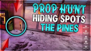 BLACK OPS COLD WAR: TOP 5 WORKING PROP HUNT GLITCHES & HIDING SPOTS THE PINES !