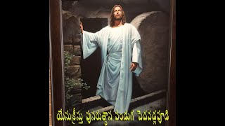 యేసుక్రీస్తు పునరుత్ధాన పండుగ \\Resurrection of Jesus Christ  feastivel pedavadlapui\\ CATHOLIC CHURCH