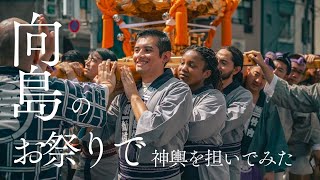 お神輿を担ごう！‐牛嶋神社 例大祭‐in向島/Let's carry a portable shrine! -Ushijima Shrine Big Festival in Mukojima