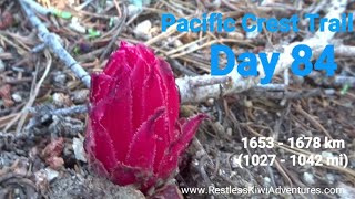 Thru Hiking the Pacific Crest Trail 2019 - Day 84