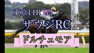 2022年10月8日（土）東京11R サウジRC（G3）レース映像