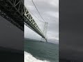 「明石海峡大橋」をくぐり抜けるジェノバライン