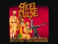 steel pulse 04 - Blues Dance Raid - live in paris ( 1992 )