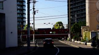 京急1500形　京急大師線　港町駅　踏切通過　(フリー素材・商用利用可)　無料素材　鉄道　電車　列車　映像素材　京浜急行　1500　4両編成　側面