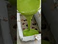 无油全麦 抹茶黑芝麻蛋糕 oil free whole wheat matcha black sesame cake 搅一搅就搞定 零油零糖 减脂期甜品 蛋糕