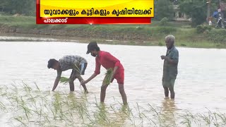 പാലക്കാട് പട്ടാമ്പി പെരുമുടിയൂരിൽ യുവാക്കളും കുട്ടികളും കൃഷിയിലേക്ക്