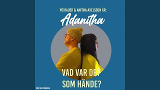 Vad var det som hände?